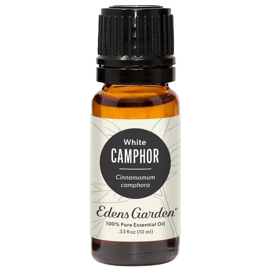 Camphor Essential Oil