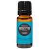 Eucalyptus- Globulus Essential Oil