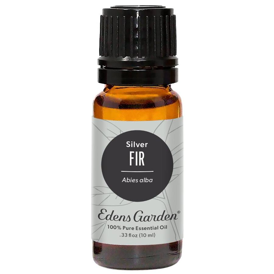 Silver Fir Essential Oil