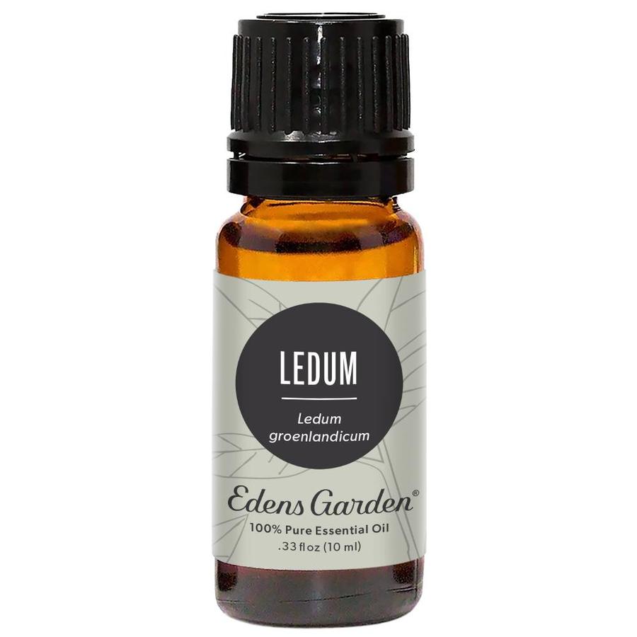 Ledum Essential Oil