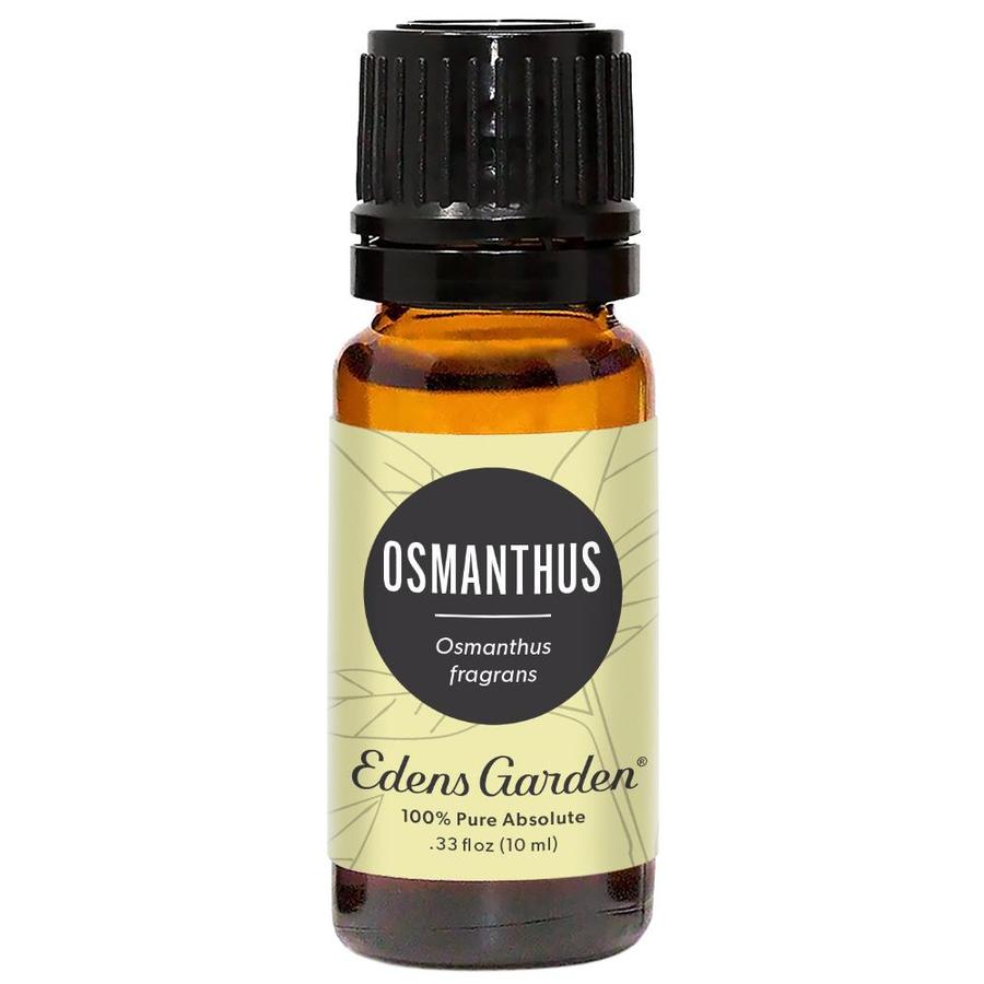 Osmanthus Absolute