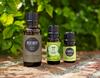 8 Essential Oils That Can Help Repel Bugs