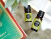 Trending Aroma: Bergamot Essential Oil