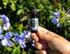 Essential Oils and Free Radicals